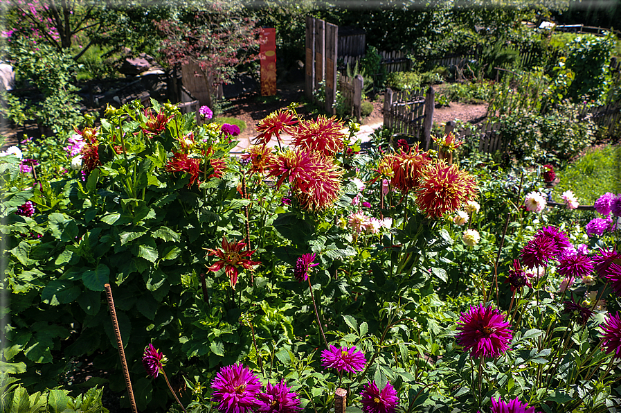 foto Giardini Trauttmansdorff - Paesaggi dell'Alto Adige